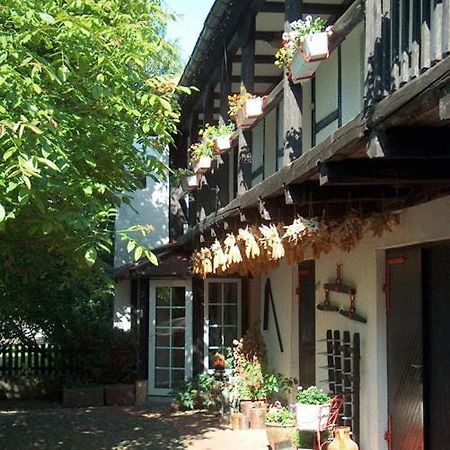 Hotel Garni & Oma'S Heuhotel 'Pension Zur Galerie' Barby Exteriör bild
